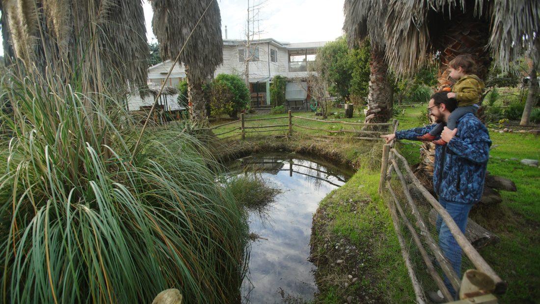 Naturaleza y agua